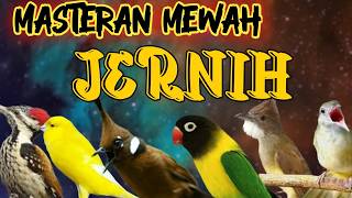 MASTERAN MURAI BATU FULL ISIAN TEMBAKAN TERBAIK MUDAH MASUK MURAI APAPUN ISIAN JELAS DAN JERNIH