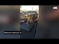 Momento viral: mono en cautiverio ilegal es rescatado en Canóvanas