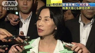 「女性閣僚の目玉」小渕大臣辞任で、松島大臣も？(14/10/20)