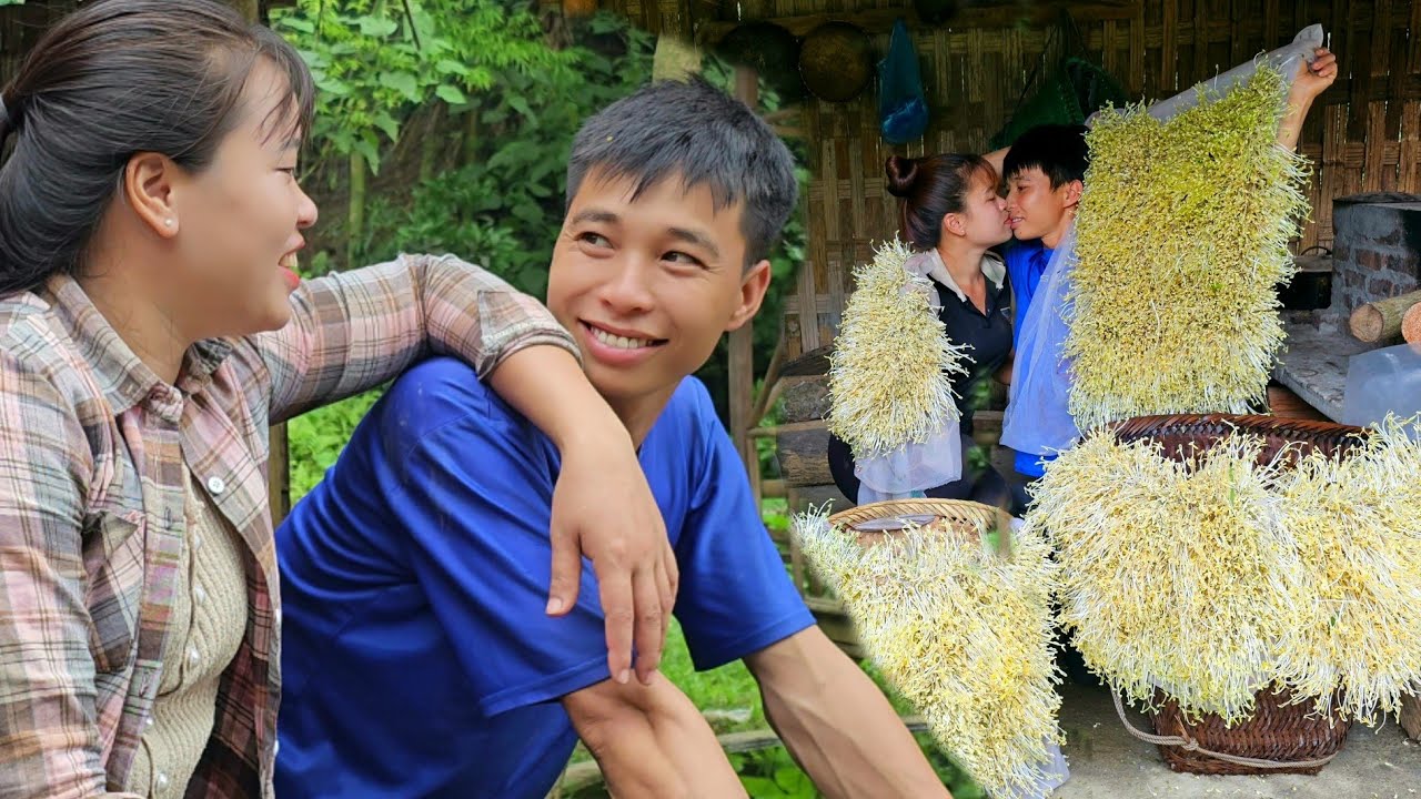 How to grow green Bean Sprouts simply, Effectively - Harvest after 3 days of selling at the market.