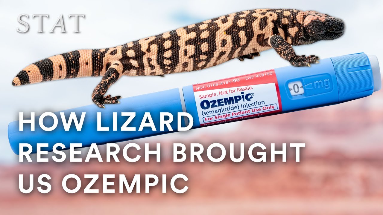 Wasteful NIH research funding? How a lizard study led to Ozempic Wasteful NIH research funding? How a lizard study led to Ozempic