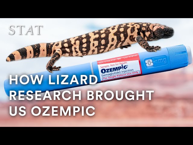 does semaglutide start working right away Can I Have Plastic Surgery While Taking Semaglutide or Tirzepatide?