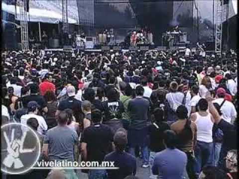 vl07 lospiojos 03 mexico primera division