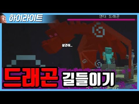 김나성