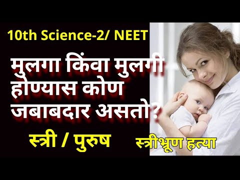 मुलगा किंवा मुलगी होण्यास कोण जबाबदार असतो?|Who is responsible for baby&rsquo;s gender? | genius science