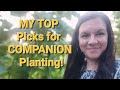 My Favorite Companion Plants...top 2 picks!