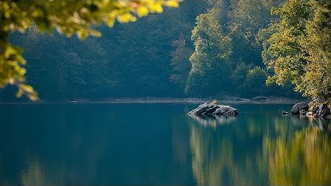 #villagelife vlog jheel new vlog dasy vlog video #pyarevlogs  #myfirstvlog #newvlog