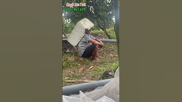 Cung cấp, lắp đặt hệ thống tưới vườn #quyetbectuoi