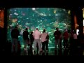 Sharks Las Vegas - Reef Aquarium At Mandalay Bay Hotel ...