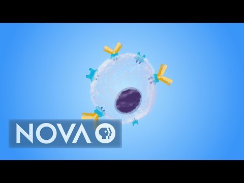 Video: Cancer: What Is Gene Therapy Really Worth? - Alternative View