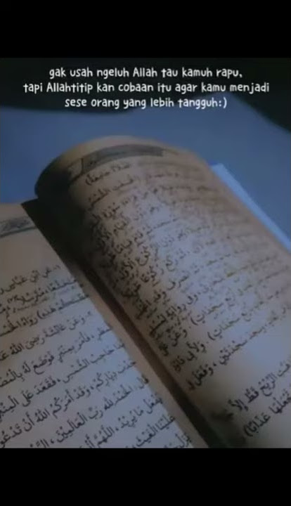 story wa lagu innal habibal Mustofa
