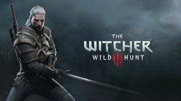 The Witcher 3: Wild Hunt - Count Reuven
