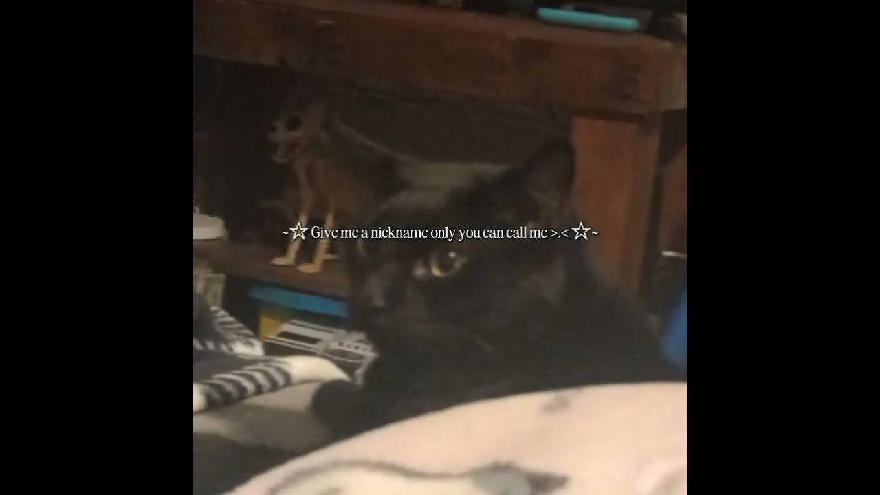 Hehe 3