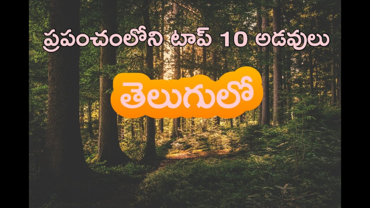 Top 10 Forests in the world in Telugu ప్రపంచంలోని టాప్ 10 అడవులు