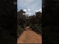 Run to Beach  #short #trailrunning #run #treadmill