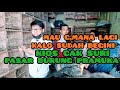 stock lolohan cigun, cipo, ngantenan, planduk, trucu kios cak suri, pasar burung pramuka, suri kicau