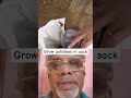 Grow potatoes in sack #potato #gardening #farming #organic #food #farming101 #shorts #ytshorts