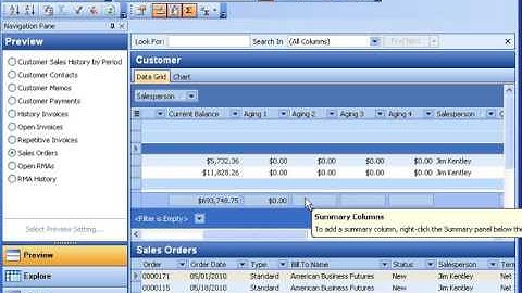 Sage MAS 90 (Sage 100) Library Master - Business Insights Explorer