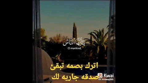 تلاوة خاشعه بصوت عذب جداً تقشعر لها الأبدان