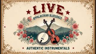 APPALACHIAN BLUEGRASS BANJO &amp; FIDDLE MUSIC | UPLIFTING HAPPY MUSIC 🎶