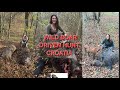 Drückjagd | Wildboar Driven Hunt in Croatia | Chasse Au Sanglier