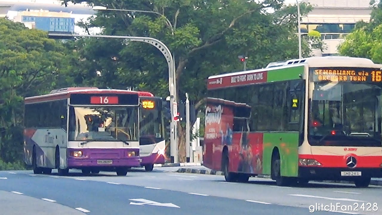 Public Buses at Singapore Central Area & Bukit Panjang, Singapore 2017