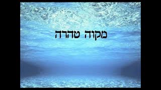 טהרת המשפחה דִּינֵי לֵיל הַטְבִילָה הרה''ג ארז אלחרר שליט''א