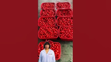 #fcnfm Join the Sustainable Food Processing Revolution: Our Drying Machines Reduce Waste and