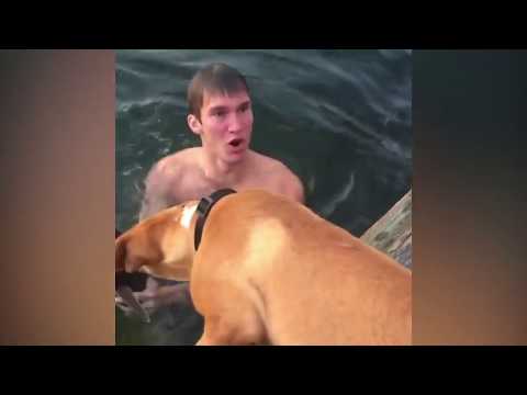 Американский студент поймал акулу голыми руками