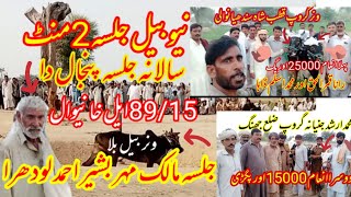 New Bail Race Jalsa 2 minut 8 October 2023/salana bail Jalsa  89.15 l khanewal🐄new bail race Mela