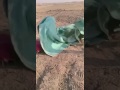 غلط ياناس تنصحوني ونا نايم