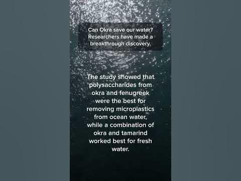 How Okra Could Help Clean Water by removing microplastics #Shorts - YouTube