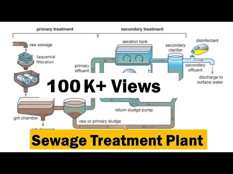 Sewage Treatment Plants | Primary & Secondary Treatment | NEET Biology | Dr Ghanshyam