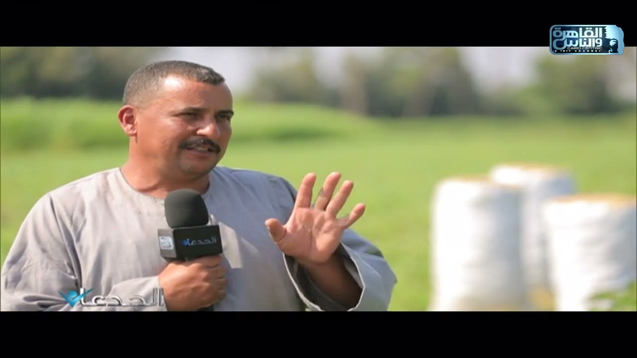 محمد حداد: مركب النوفا بلس يزيد من إنتاج محصول الباذنجان في الأرض