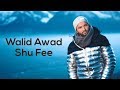 Walid awad  shu fee official music      