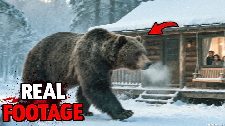 Hunters’ Trail Cam Captures the Largest Grizzly Bear Ever Seen in Alaska!