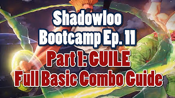 Shadowloo Bootcamp Ep11 Part 1 - Full Basic Combo Guide
