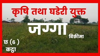 कृषि तथा घडेरीयुक्त जग्गा बिक्रीमा।। KrishiJagga.Land On Sale In Bhadrapur.JaggaNepal.Ghaderi Jagga.