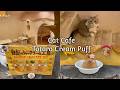 JAPAN VLOG - Whimsical Fairytale Cat Cafe Petit Mura in Kichijoji 🐱✨ Totoro Cream Puff Shop 🌸