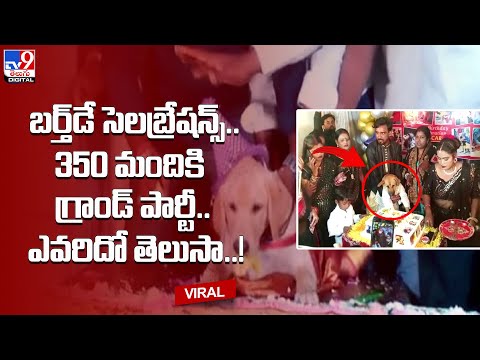 బర్త్‌డే సెలబ్రేషన్స్‌.. 350 మందికి గ్రాండ్‌ పార్టీ.. ఎవరిదో తెలుసా..! @TV9TeluguDigital