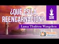 ¿Qué es la reencarnación?, por el Lama Thubten Wangchen