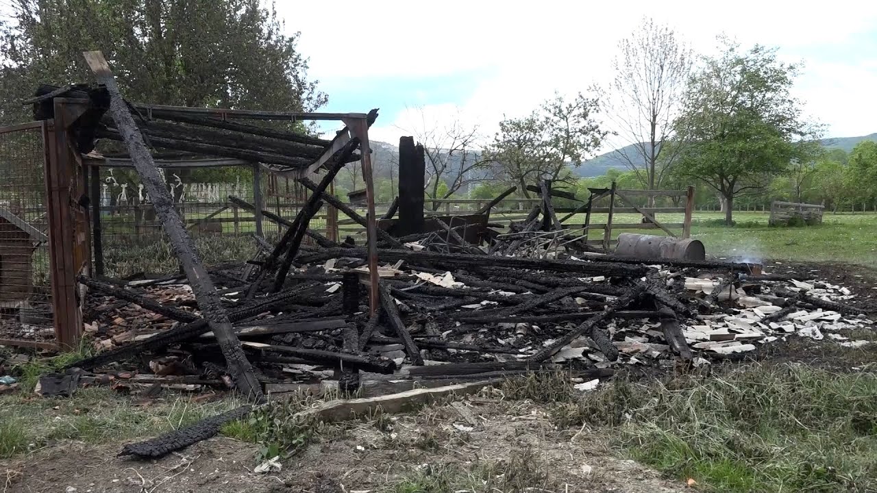 TV Pljevlja Požar na imanju Ajanovića 01 05 2024