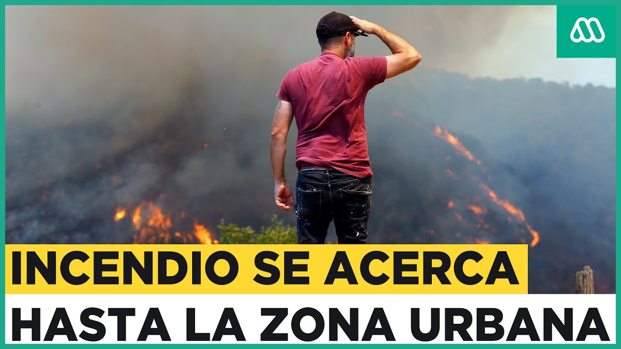 Incendio descontrolado en Quilpué avanza a zona urbana