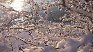 Ice Flow - Sony Alpha 580