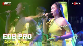 EDB PRO - AYANG AYANG | BAKANBUER, SEPT 2025
