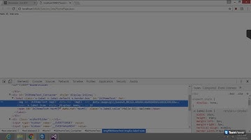 Ext Net & ExtJS Basic Intro - Session 1
