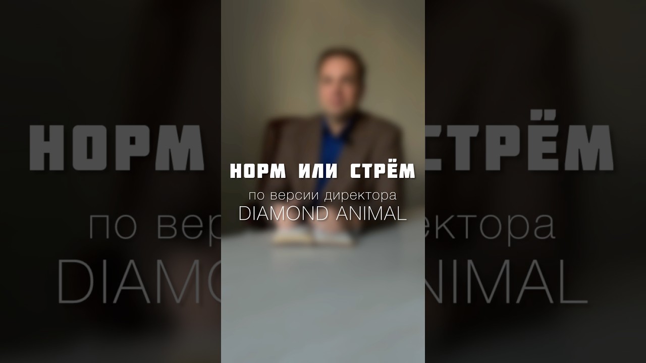 Норм или стрём по версии директора DIAMOND ANIMAL