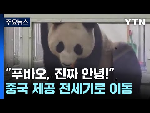 &quot;이제는 진짜 안녕&quot;...우리 푸바오 중국가는 날 / YTN