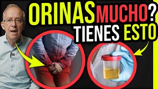 🟡 RAZONES POR LAS QUE ORINAMOS CON MUCHA FRECUENCIA - Oswaldo Restrepo RSC