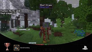 Minecraft - Benchmarking Trophy